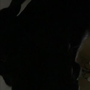 Meet your Posher, Cory